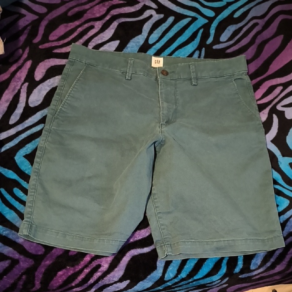 GAP | Men's Teal Flat Front Shorts (22 Inches)